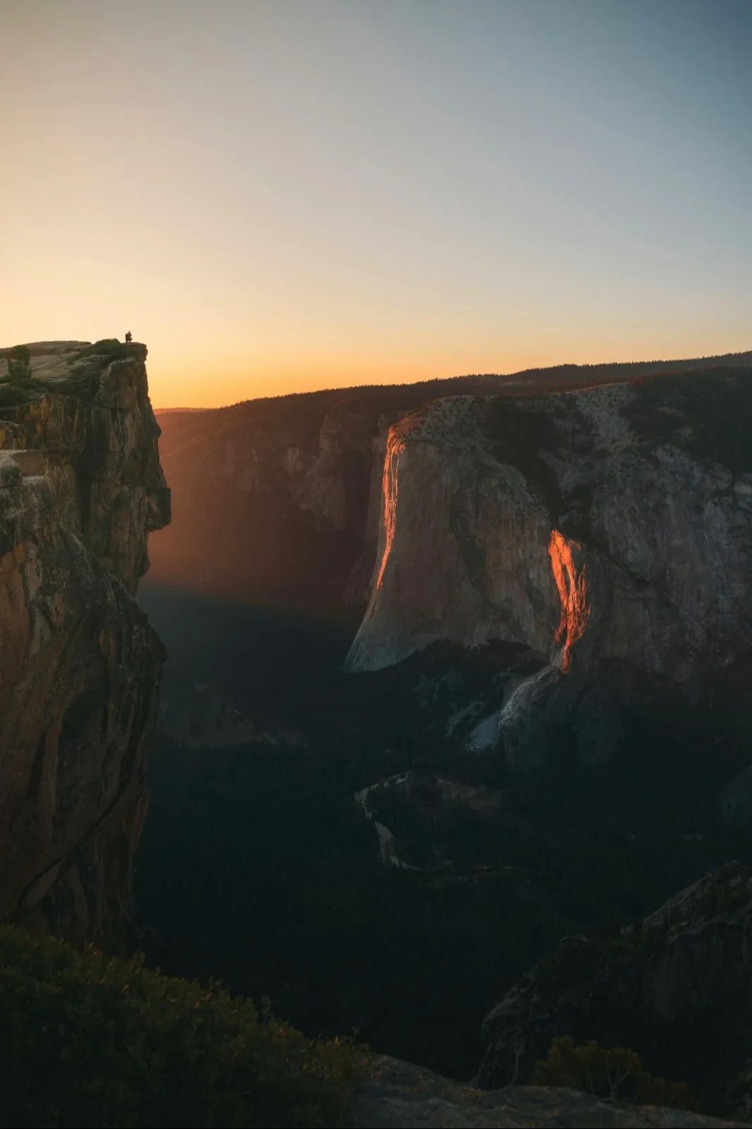 GREEN APPLE新品丨探索自然的奧秘，重塑家居美學